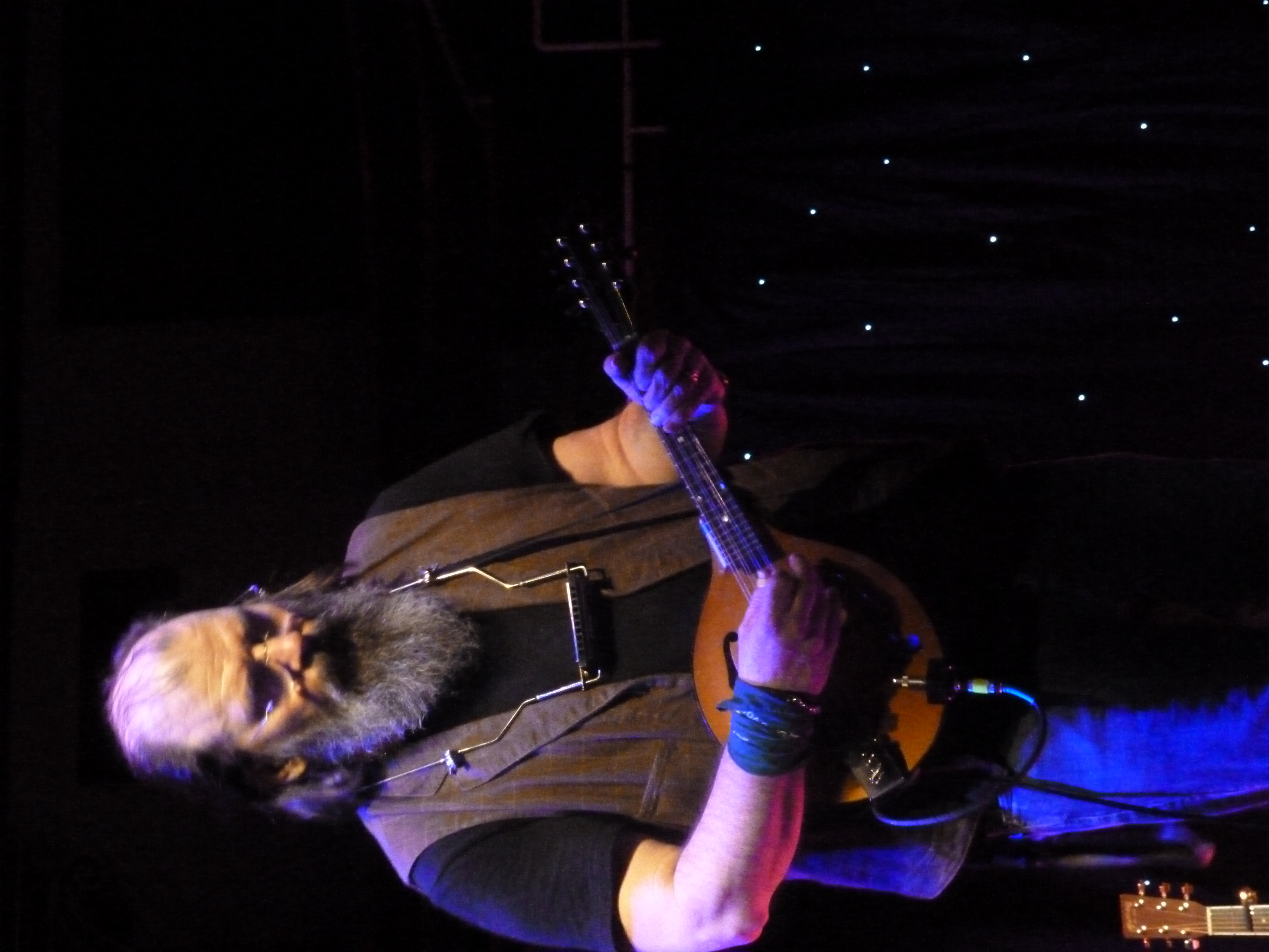 SteveEarle2014-08-27NationalConcertHallDublinIreland (17).JPG